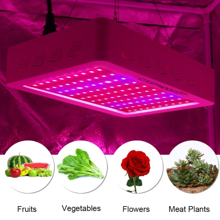 Small Grow Lights For Indoor Plants Castnoo 500W Full Spectrum High Yield Led Grow Light Best Photo 764