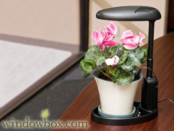 Small Grow Lights For Indoor Plants Intelligent Plant Light - Grow Lights - Indoor Gardening Photo 572