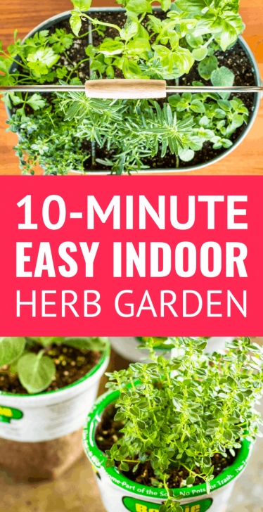 Small Indoor Herb Garden 10-Minute Easy Diy Indoor Herb Planter – Unsophisticook Picture 464