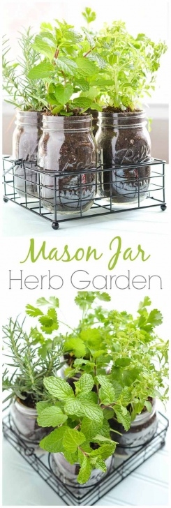 Small Indoor Herb Garden 18 Indoor Herb Garden Ideas - Page 3 Of 3 Image 841
