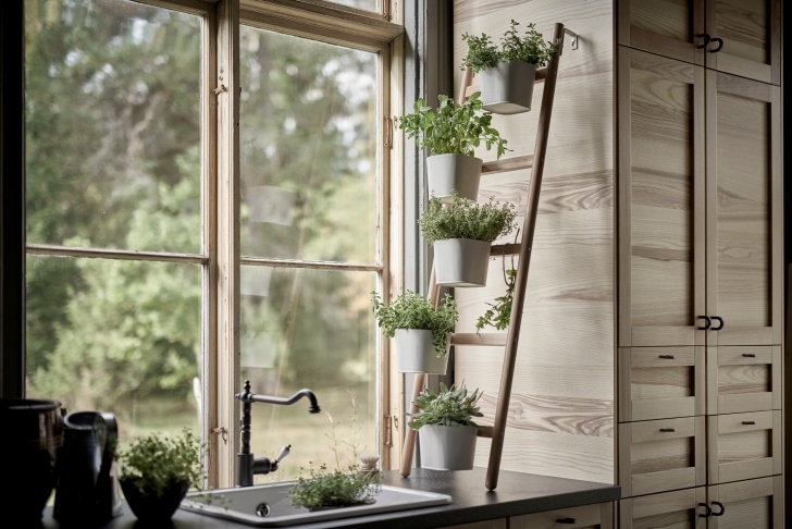 Small Indoor Herb Garden 5 Indoor Herb Garden Ideas For Your Kitchen Picture 487