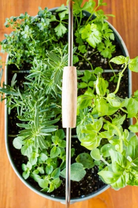 Small Indoor Herb Garden Beautiful Container Herb Gardens Picture 988