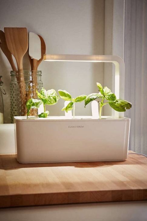 Small Indoor Herb Garden Click And Grow: A Miniature Herb Garden For A Kitchen Image 642