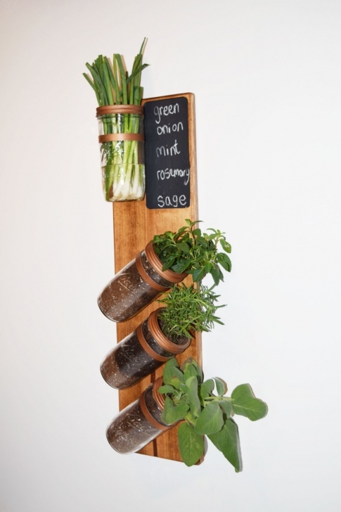 Small Indoor Herb Garden Free Shipping Vertical Garden Indoor Herb Garden By Mintblooms Picture 251