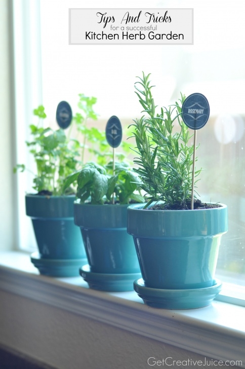 Small Indoor Herb Garden Tips And Tricks To Maintaining An Indoor Kitchen Herb Image 360