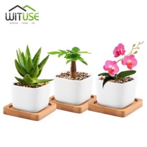 Small Indoor Plant Pots Wituse White Square Garden Flower Plant Pot Mini Ceramic Photo 027