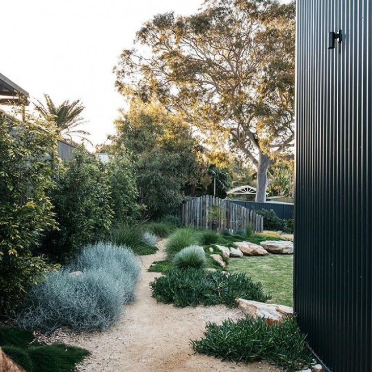 Small Native Garden A Simply Beautiful Contemporary Australian Native Garden Image 645