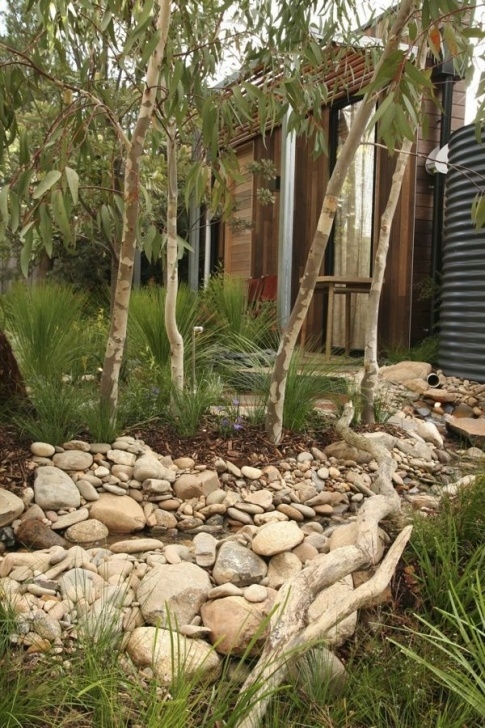Small Native Garden Is It Time To Reconsider Using Australian Natives? | Rain Picture 248