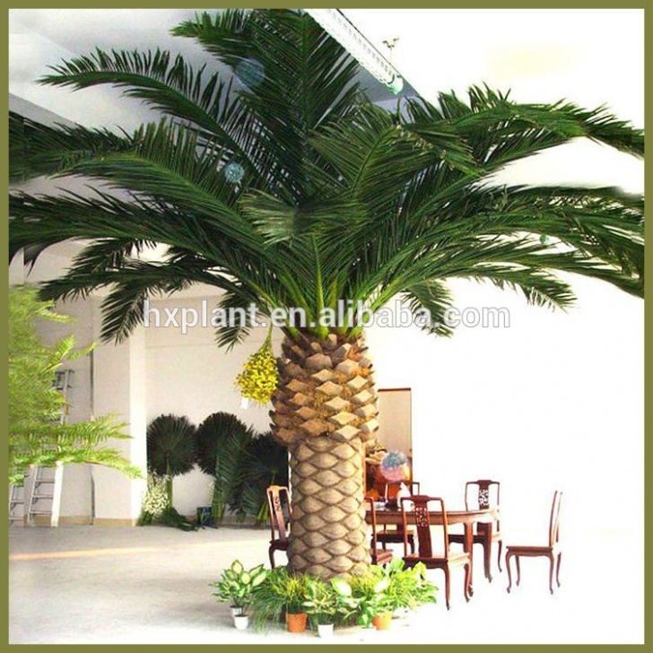 Small Outdoor Palm Trees Cheap Outdoor Tall Date Palm Tree Artificial Plastic Date Image 456