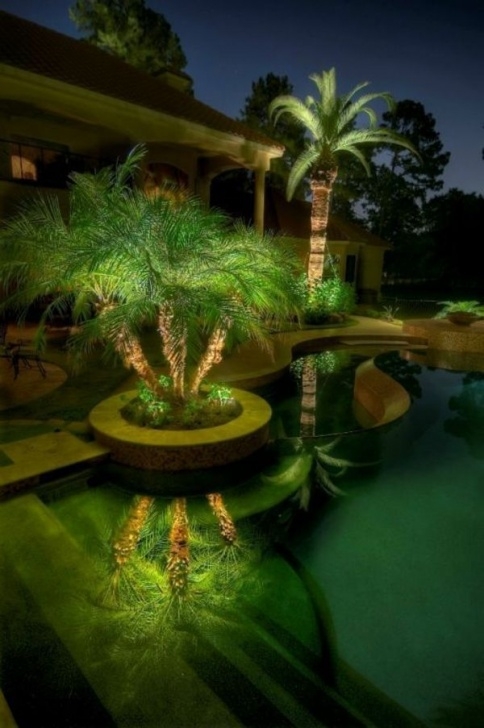 Small Outdoor Palm Trees Palm Tree Pool Outdoors Landscape Gardening Homes Exterior Photo 671