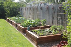 Small Raised Garden Bed Beautiful Raised Beds For The Vegetable Garden. (From The Photo 342