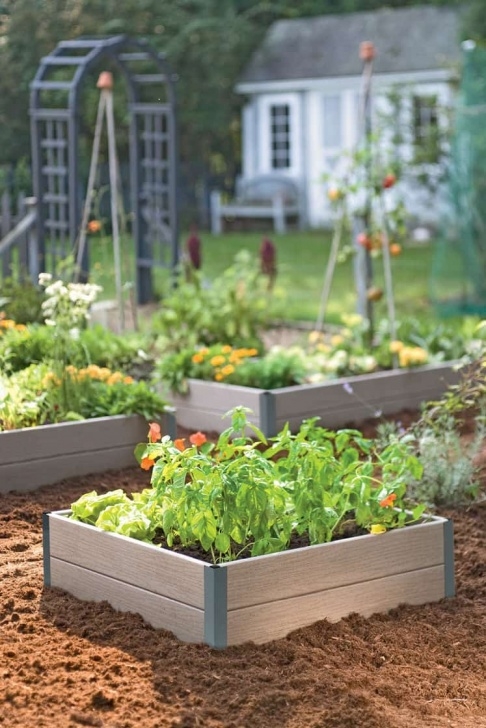Small Raised Garden Bed Best 20 Vegetable Garden Design Ideas For Green Living Picture 199