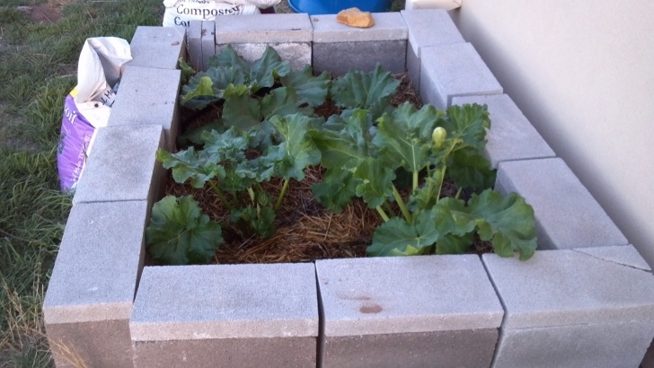 Small Raised Garden Bed Building Raised Garden Beds | Local Llano Image 420