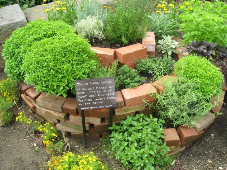 Small Raised Garden Bed Cheap Raised Bed Ideas | Auntie Dogma'S Garden Spot Picture 713