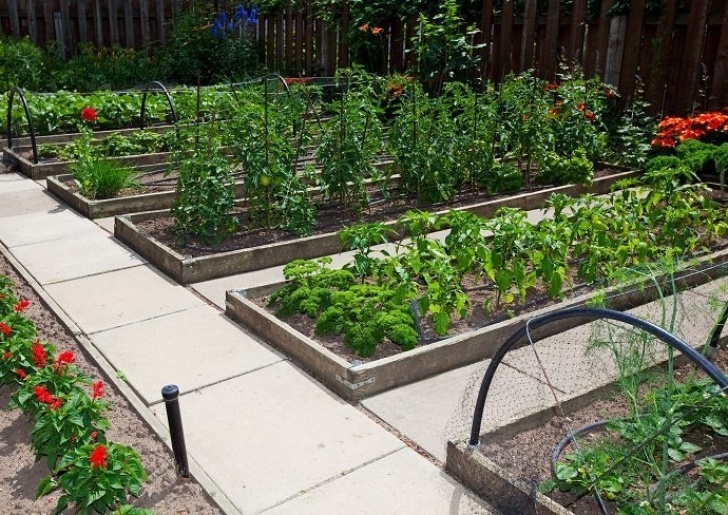 Small Raised Garden Bed The Permaculture Research Institute Photo 746