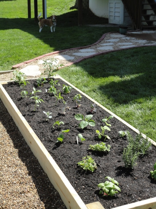 Small Raised Garden Bed Vanilla Bean: Diy Raised Garden Bed Image 678
