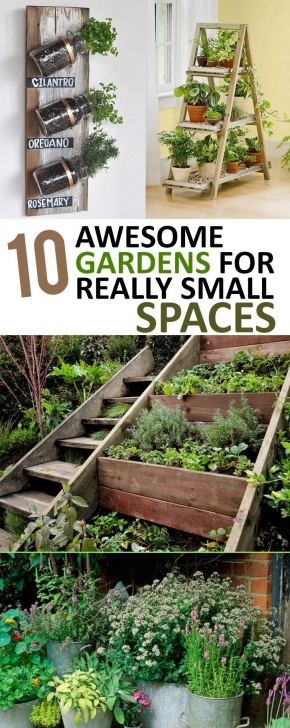 Small Space Vegetable Gardening 10 Awesome Gardens For Really Small Spaces | Small Space Photo 979