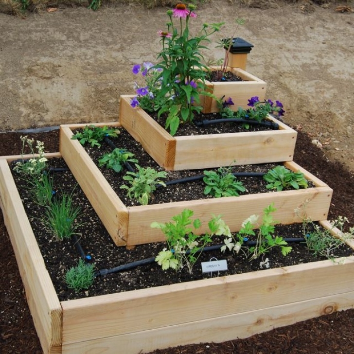 Small Space Vegetable Gardening Gardening Girl | Get Ideas And Inspirations For Your Picture 604