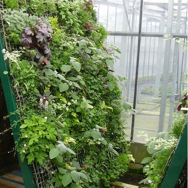 Small Space Vegetable Gardening Grow A Vertical Vegetable Garden In A Small Space With Hog Picture 200
