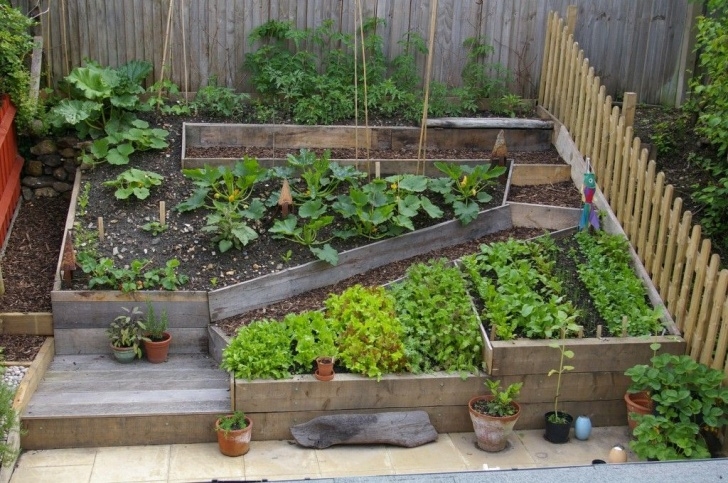 Small Space Vegetable Gardening Impressive! Prizewinning Smallholding In Suburban Section Image 716