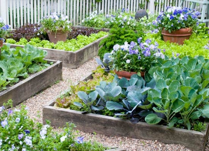 Small Space Vegetable Gardening Try Growing Edibles In Small Spaces Image 923