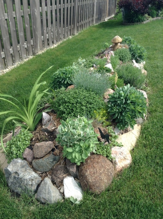 Small Stones For Landscaping Rock Garden Now Add Some Grasses And Make It Bigger Love Photo 427