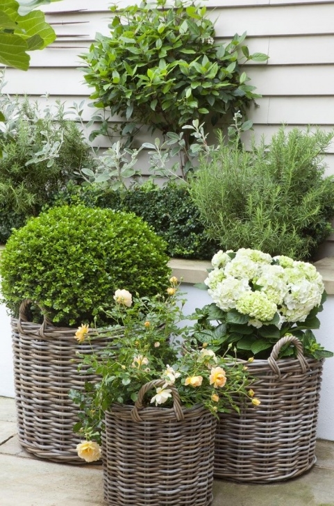Small Trees For Pots Potted Garden Design Ideas &amp; Tips | Outdoortheme Photo 512