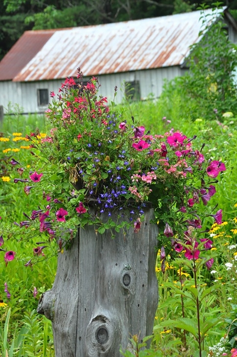 Small Trees For Small Gardens 25 Small Backyard Ideas - Beautiful Landscaping Designs Picture 386