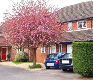 Small Trees For Small Gardens Crabapple Tree - Google Search | Crabapple Tree, Small Photo 276