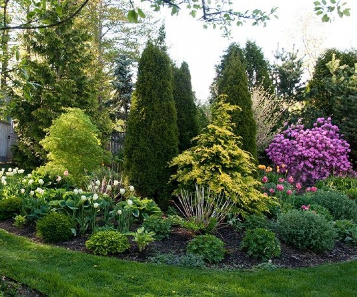 Small Trees For Small Yards 16 Simple Solutions For Small-Space Landscapes | Small Photo 051