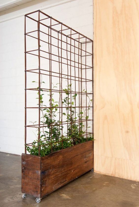 Small Trellis For Indoor Plants 15 Simply Gorgeous Trellis Ideas | Small Studio Apartments Picture 464