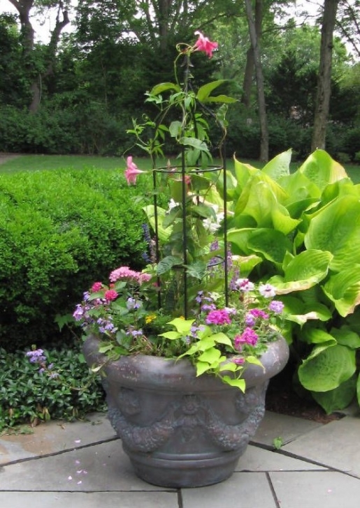 Small Trellis For Indoor Plants Obelisk Plant Frame / Trellis W/ Underplanting. Cons Photo 966