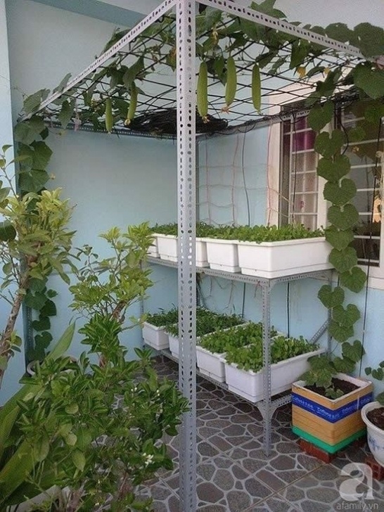 Small Trellis For Indoor Plants Wonderful Diy Trellises For Climbing Plants | Garden Picture 218