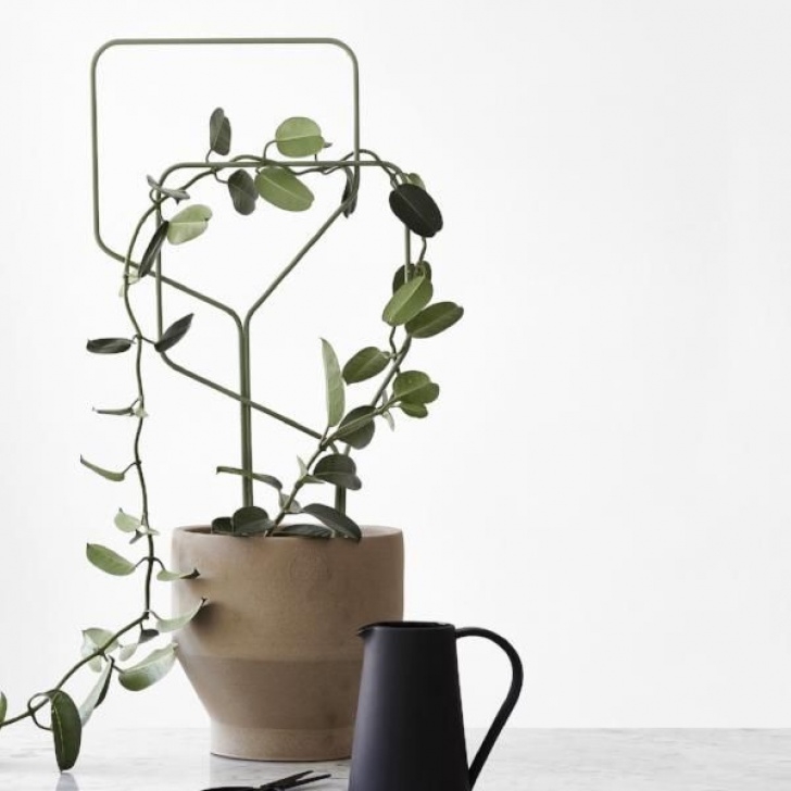 Small Trellis For Potted Plant Macura Lipa Plant | Indoor Plants, Plants, Trellis Picture 424