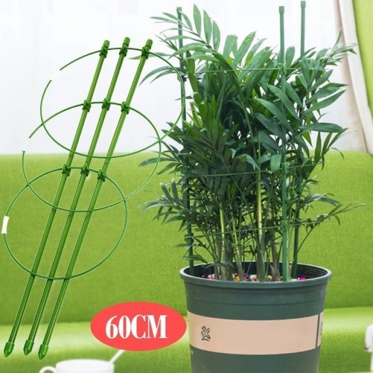 Small Trellis For Potted Plant Plants Support Pot Vegetables Tomato Plants Vine Climbing Image 778