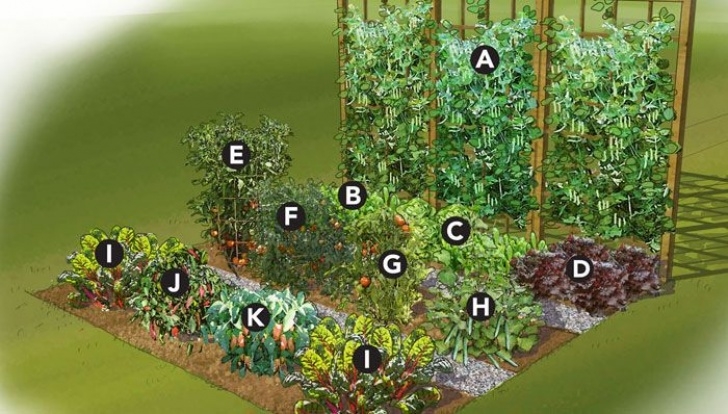 Small Vegetable Garden Layout 19 Vegetable Garden Plans &amp; Layout Ideas That Will Inspire Picture 830