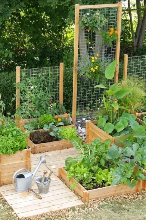 Small Vegetable Garden Layout Best 20 Vegetable Garden Design Ideas For Green Living Image 653