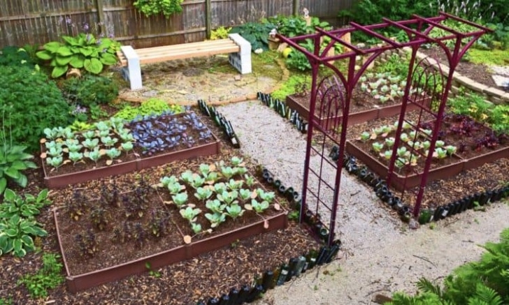 Small Vegetable Garden Layout Best 20 Vegetable Garden Design Ideas For Green Living Photo 454