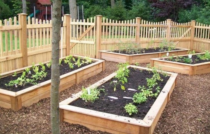 Small Vegetable Garden Layout Diy Raised Beds In The Vegetable Garden – Ideas And Materials Photo 392