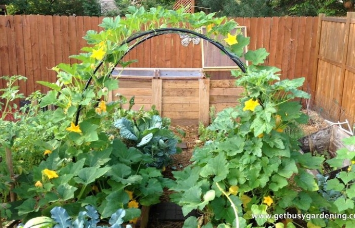 Small Vegetable Garden Layout Garden Ideas Plans Design Greenhouse Building Raised Bed Image 388