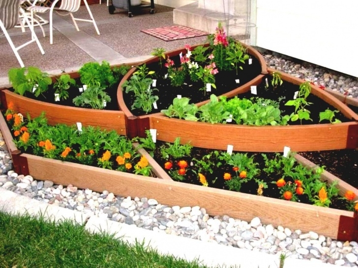 Small Vegetable Garden Plans Backyard Home Gardening For Vegetables Simple Vegetable Image 941