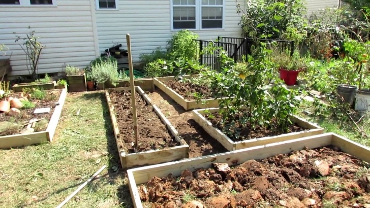 Small Vegetable Garden Plans Designing A Raised Bed Vegetable Garden: A Fall Makeover Image 949