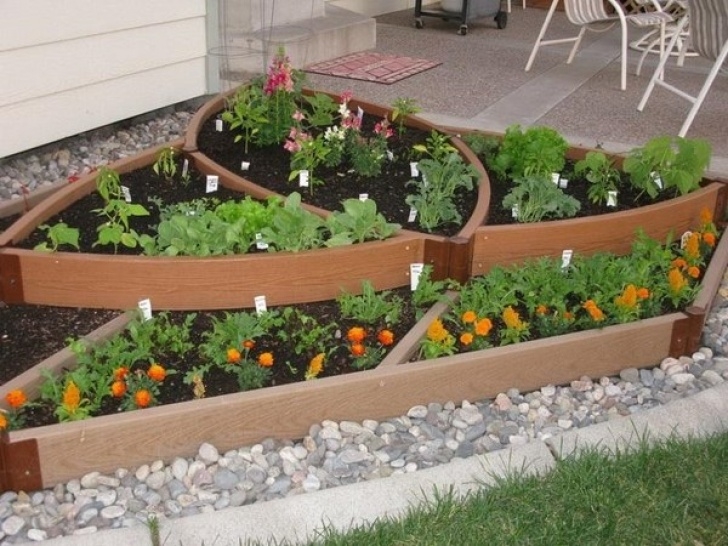 Small Vegetable Garden Plans Small Vegetable Garden Ideas - How To Plan And Design Them? Image 604