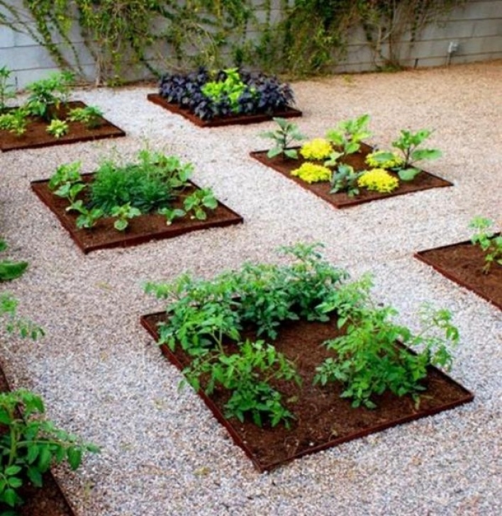 Small Vegetable Garden Plans Small Vegetable Garden Ideas - How To Plan And Design Them? Photo 130