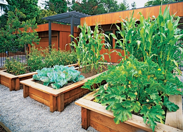Small Vegetable Garden Plans Veggies Up Front - Sunset Magazine Picture 478