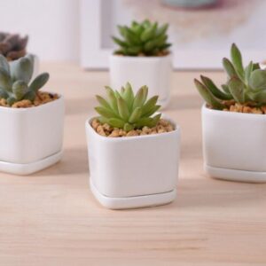 Small White Plant Pots Hot Sale White Creamic Flower Pot With Tray Desktop Decor Picture 371