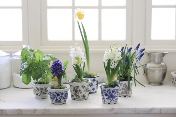 Small White Plant Pots Jenny Steffens Hobick: Planters | Blue &amp; White Ceramic Picture 064