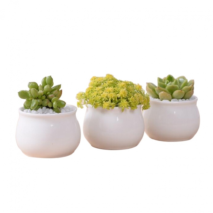 Small White Plant Pots Modern Indoor Decor Small White Ceramic Flower Pot - Buy Picture 450