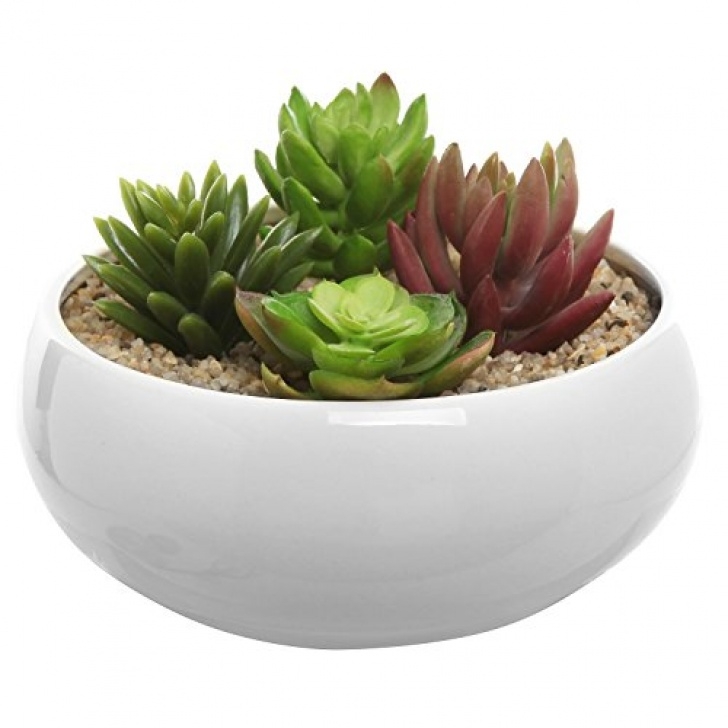 Small White Plant Pots Top 24 For Best Succulent Pot 2019 Image 192
