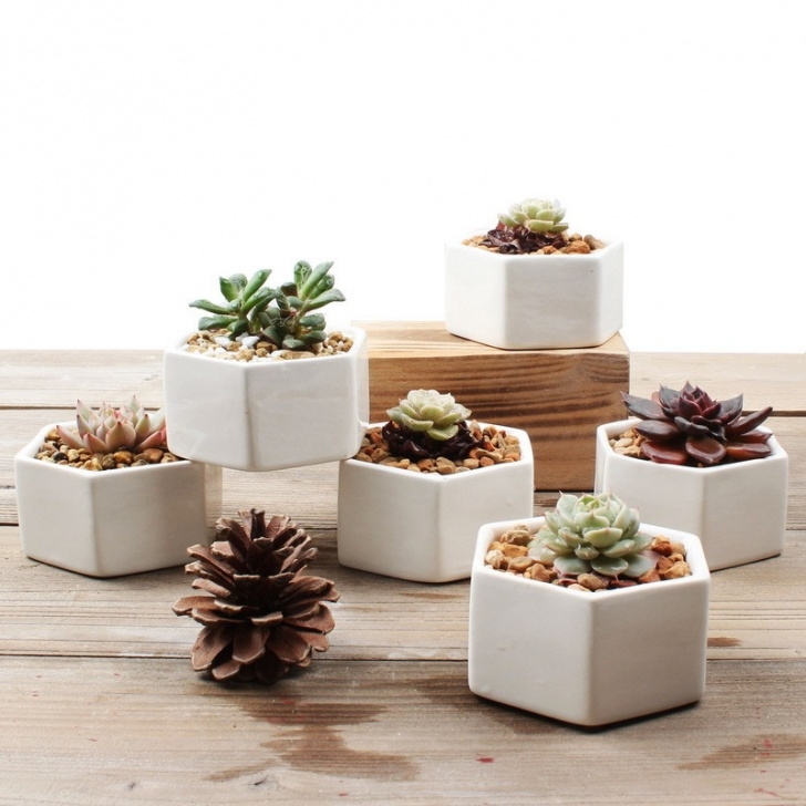 Small White Plant Pots Wholesale Small White Hexagon Ceramic Flower Pots For Photo 733